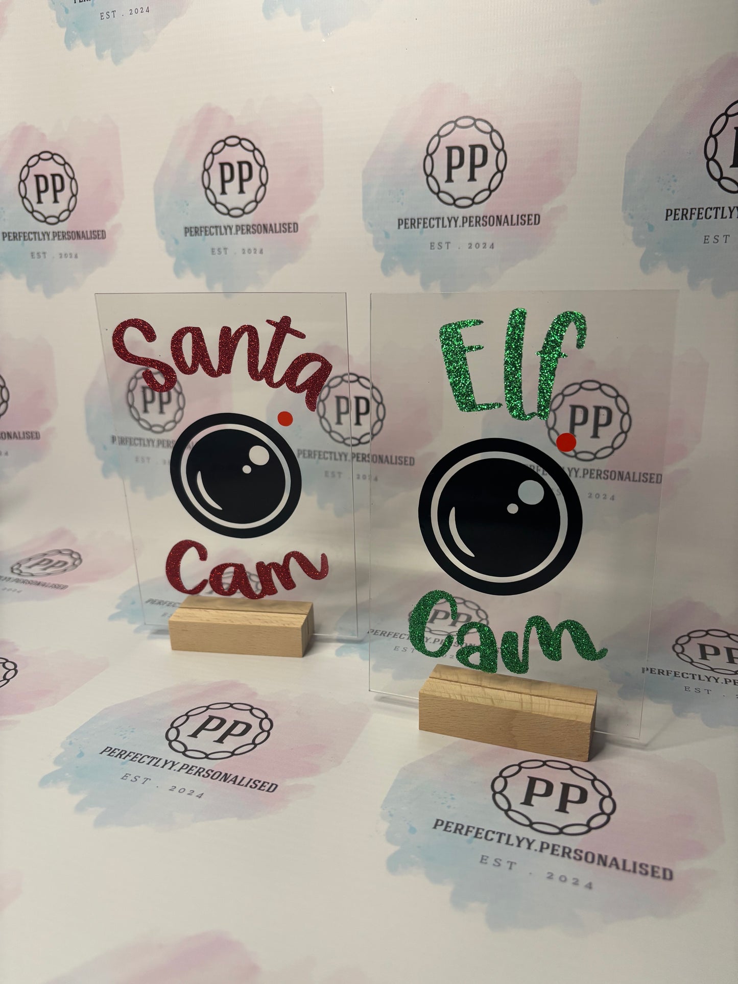 Santa cam